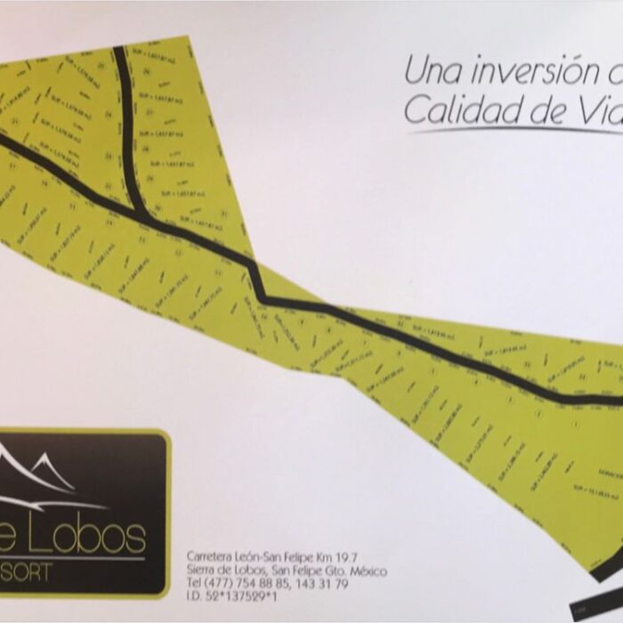 9c005a5b-c129-4cd2-9636-c889c11747ba