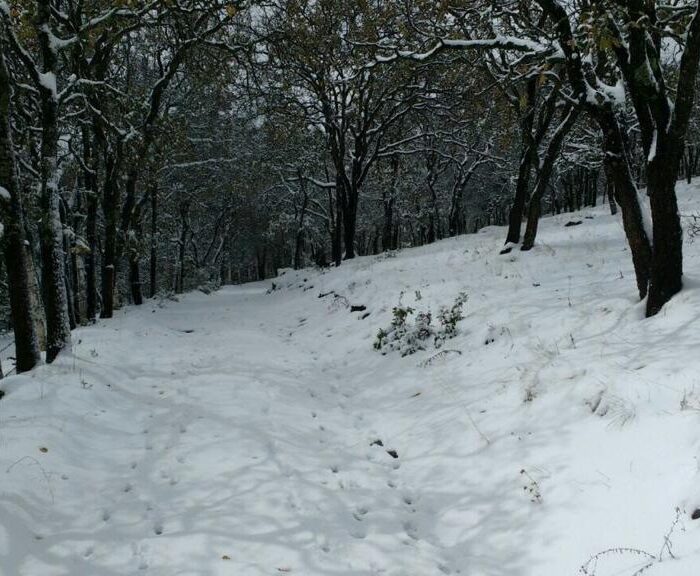 WhatsApp Image 2023-06-14 at 4.34.55 PM (2)