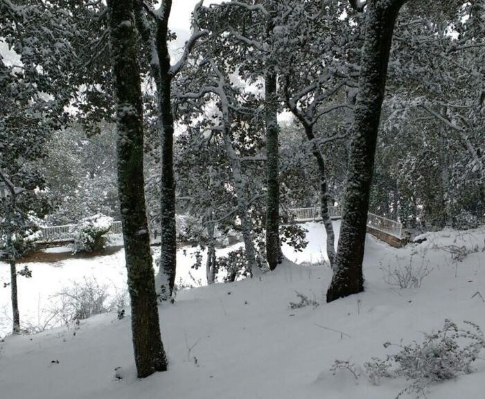 WhatsApp Image 2023-06-14 at 4.34.55 PM