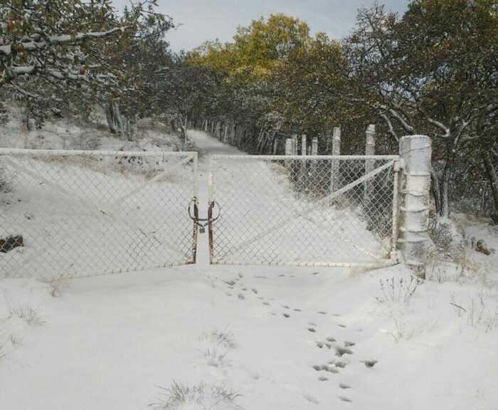 WhatsApp Image 2023-06-14 at 4.34.56 PM (1)