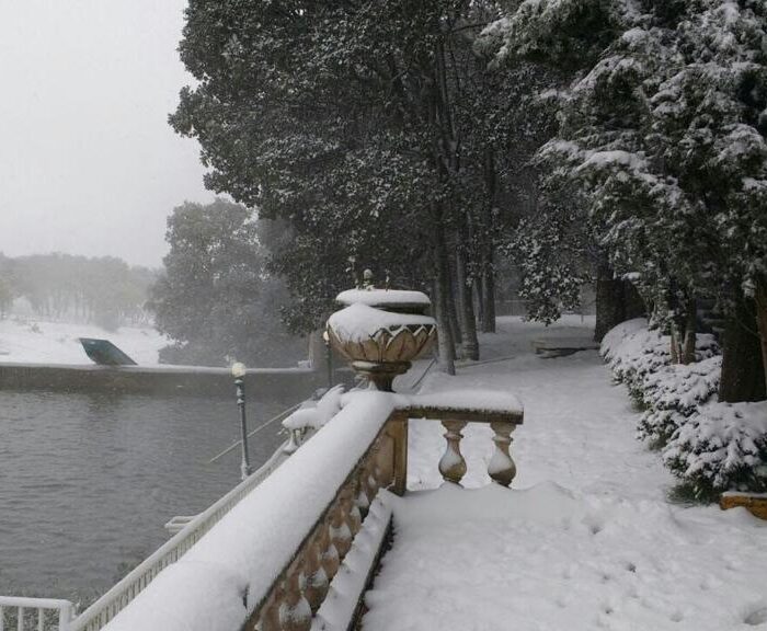 WhatsApp Image 2023-06-14 at 4.34.56 PM (2)