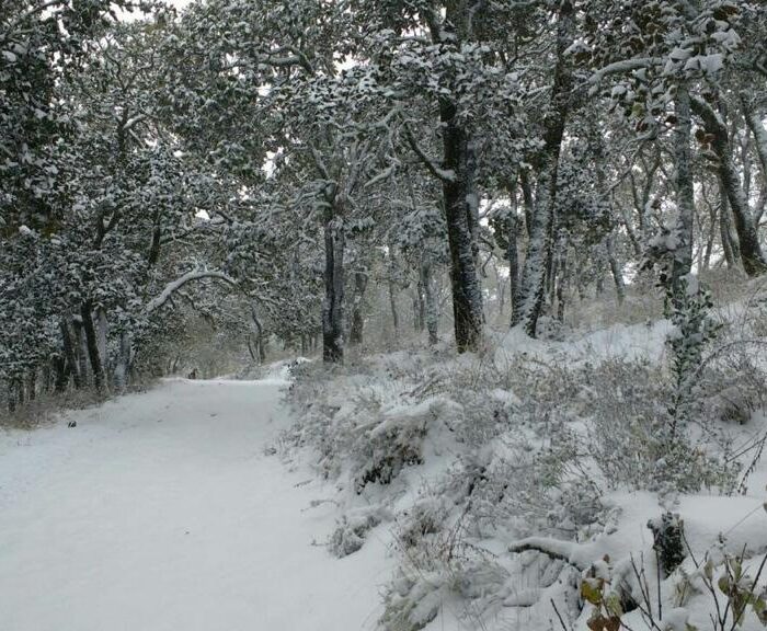 WhatsApp Image 2023-06-14 at 4.34.56 PM (3)