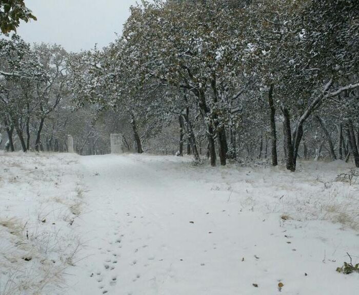 WhatsApp Image 2023-06-14 at 4.34.56 PM (4)