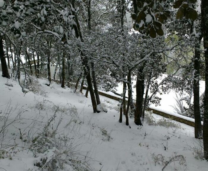 WhatsApp Image 2023-06-14 at 4.34.56 PM (5)