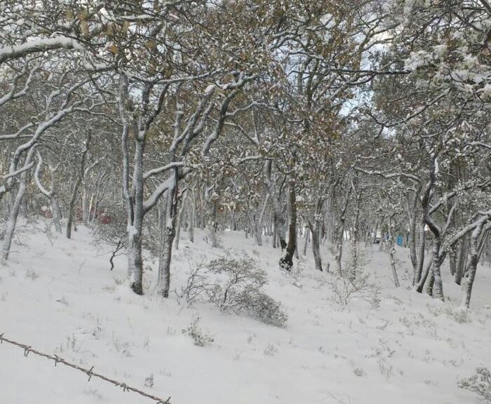 WhatsApp Image 2023-06-14 at 4.34.56 PM