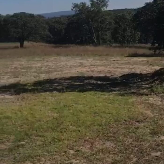 WhatsApp Image 2023-06-14 at 7.29.24 PM (1)