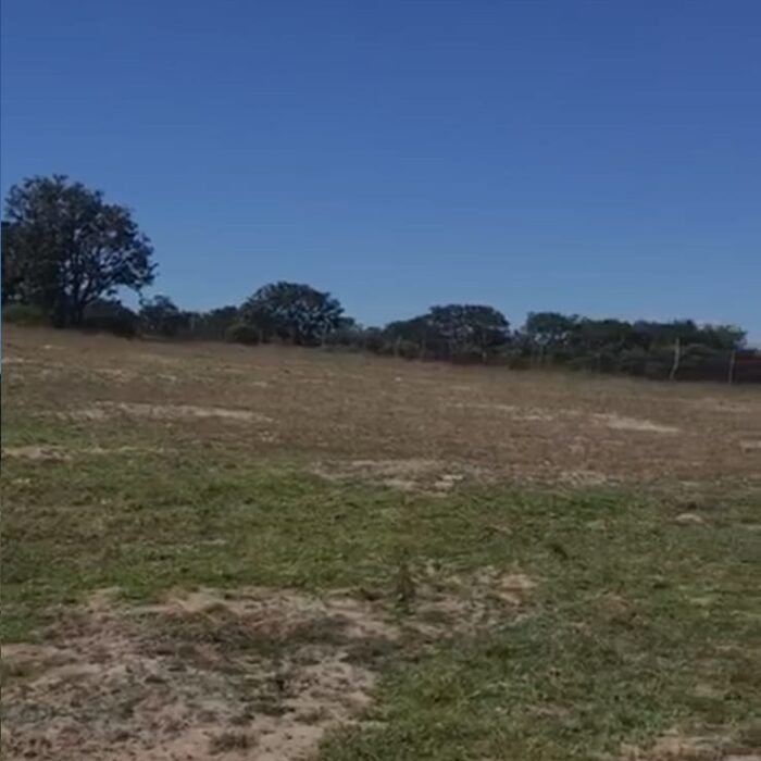 WhatsApp Image 2023-06-14 at 7.29.24 PM (4)