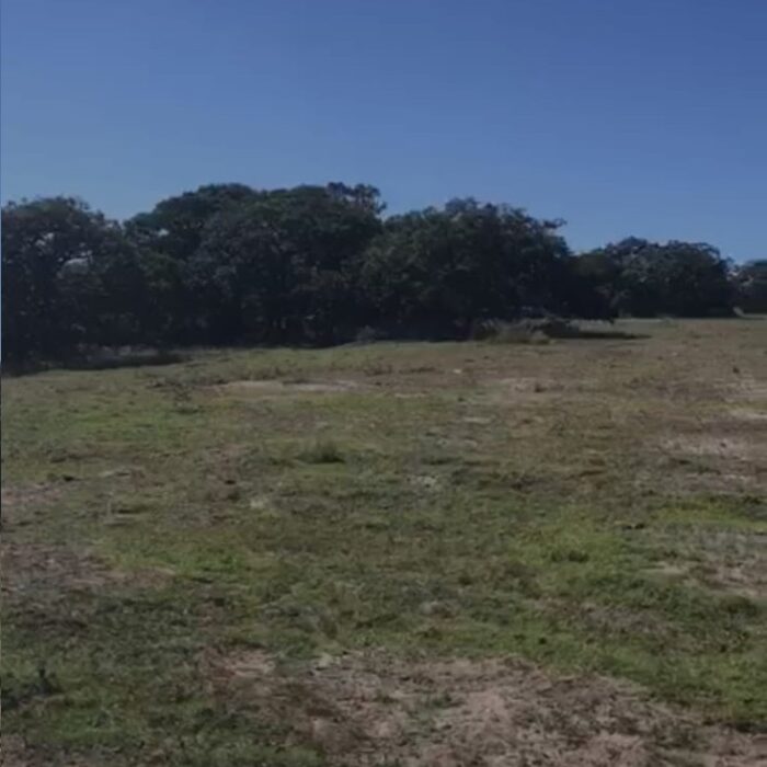 WhatsApp Image 2023-06-14 at 7.29.24 PM (5)