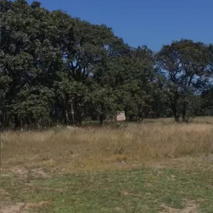 WhatsApp Image 2023-06-14 at 7.29.24 PM