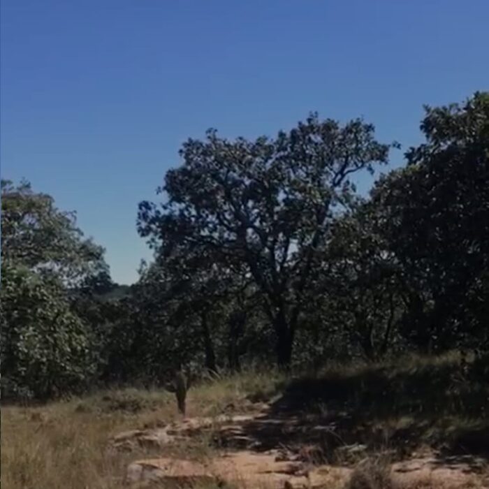 WhatsApp Image 2023-06-14 at 7.29.25 PM (1)