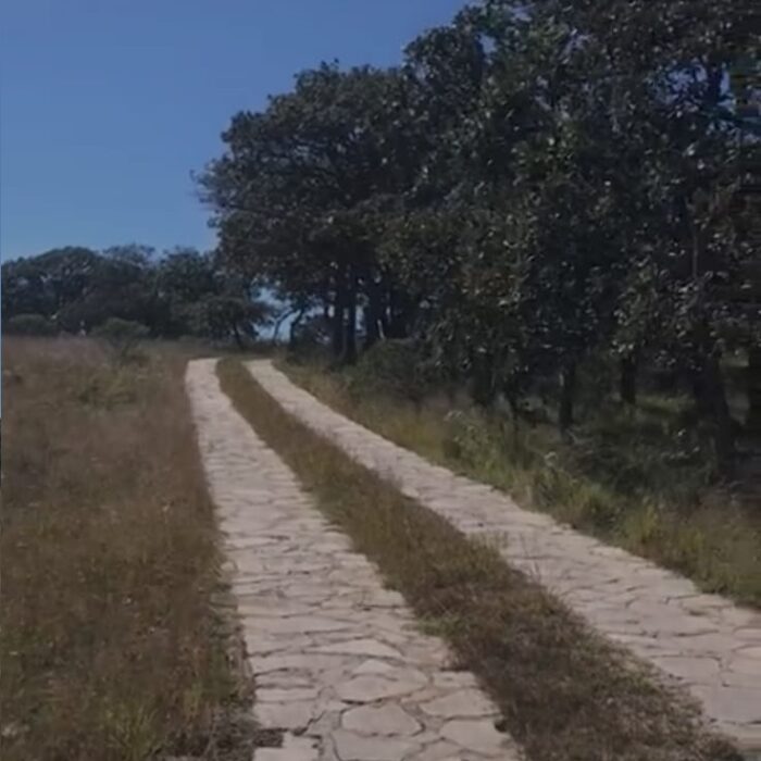 WhatsApp Image 2023-06-14 at 7.29.25 PM (2)