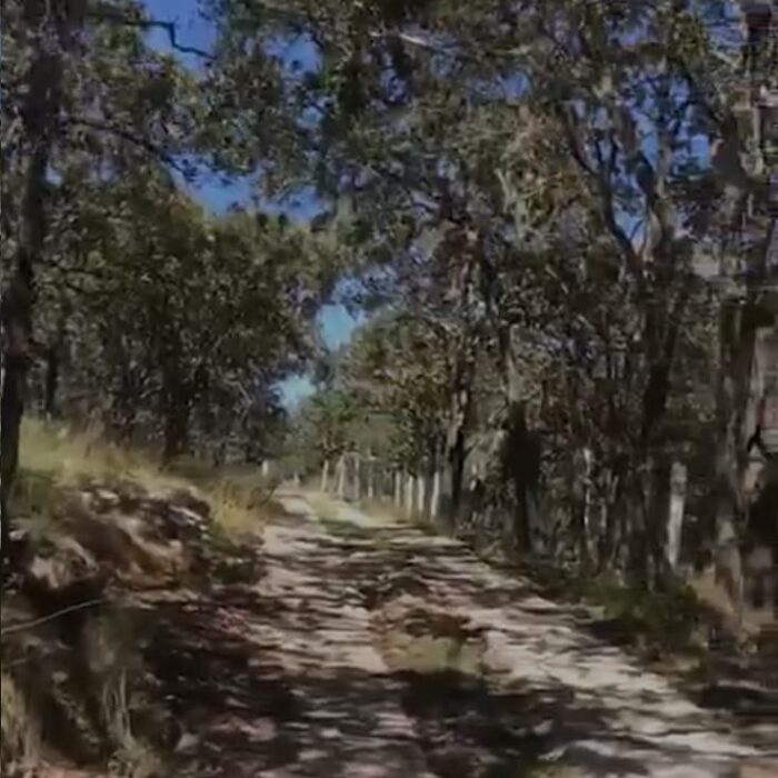 WhatsApp Image 2023-06-14 at 7.29.25 PM (3)