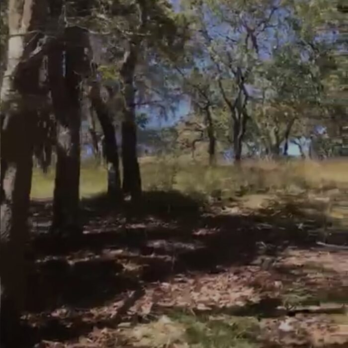 WhatsApp Image 2023-06-14 at 7.29.25 PM (4)