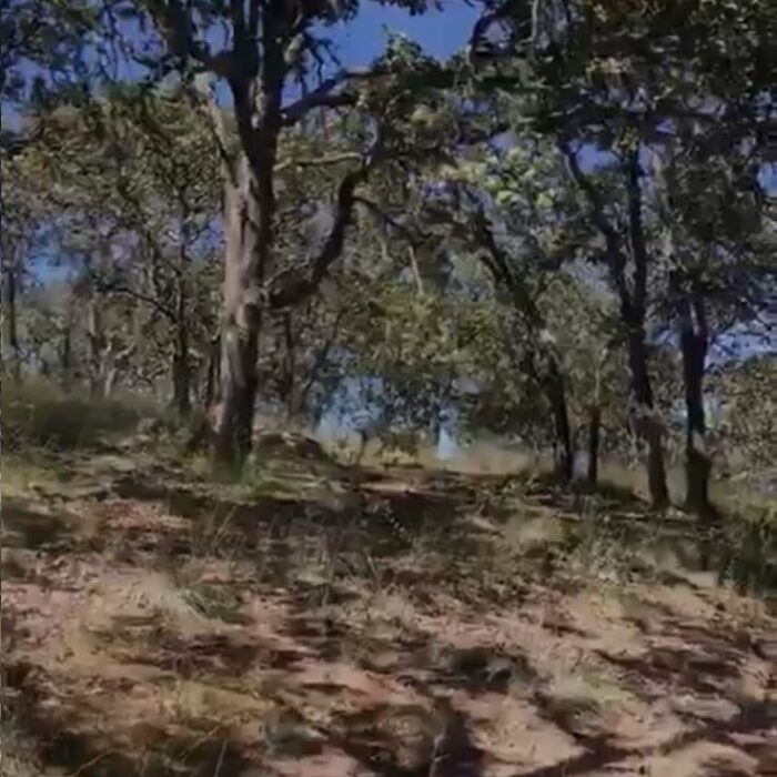 WhatsApp Image 2023-06-14 at 7.29.25 PM (6)