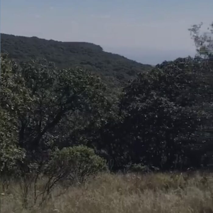 WhatsApp Image 2023-06-14 at 7.29.25 PM