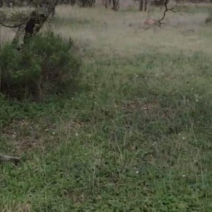 WhatsApp Image 2023-06-14 at 7.29.26 PM (1)