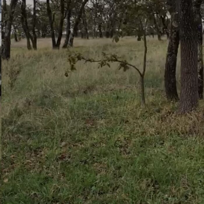 WhatsApp Image 2023-06-14 at 7.29.26 PM (2)