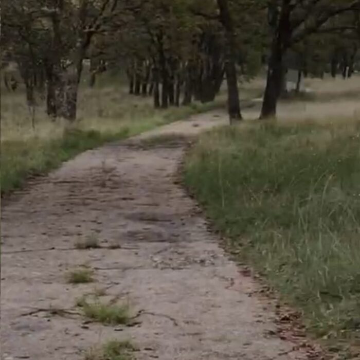 WhatsApp Image 2023-06-14 at 7.29.26 PM (3)