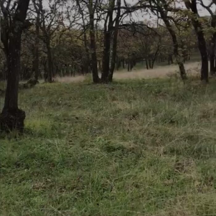 WhatsApp Image 2023-06-14 at 7.29.26 PM (4)