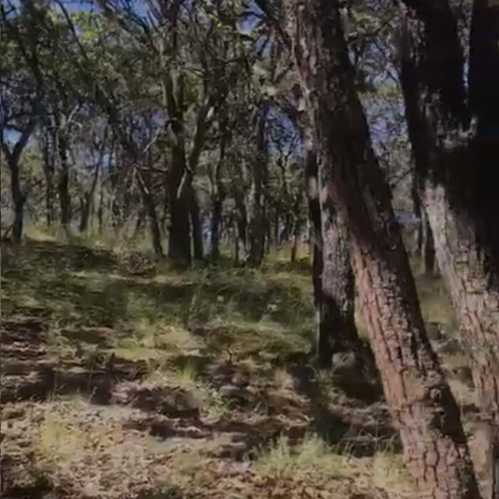 WhatsApp Image 2023-06-14 at 7.29.26 PM