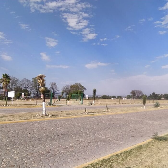 WhatsApp Image 2023-05-15 at 3.26.02 PM (2)