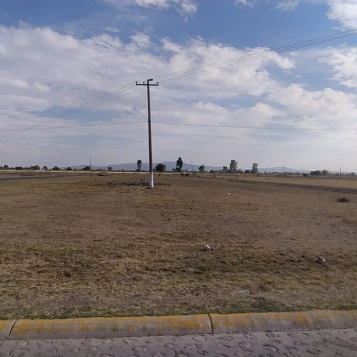 WhatsApp Image 2023-05-15 at 3.26.02 PM