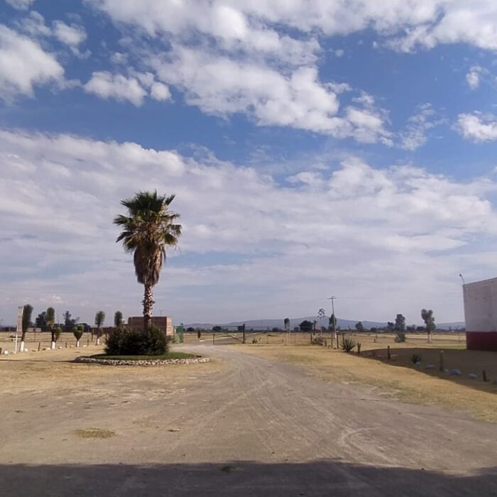 WhatsApp Image 2023-05-15 at 3.26.03 PM (1)