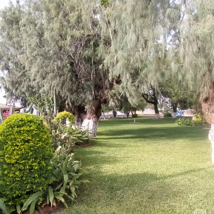 WhatsApp Image 2023-05-15 at 3.26.03 PM (2)