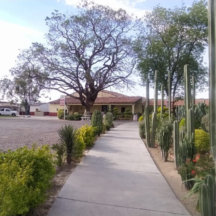 WhatsApp Image 2023-05-15 at 3.26.03 PM (3)