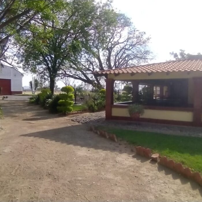 WhatsApp Image 2023-05-15 at 3.26.03 PM (4)