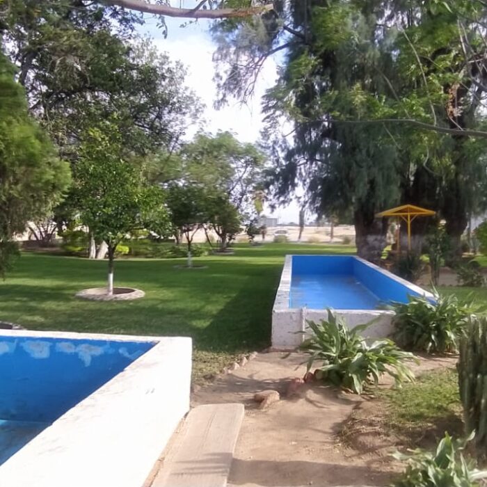 WhatsApp Image 2023-05-15 at 3.26.03 PM (5)