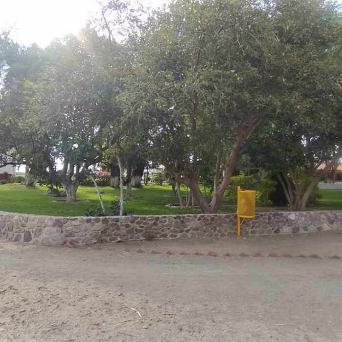 WhatsApp Image 2023-05-15 at 3.26.04 PM (2)