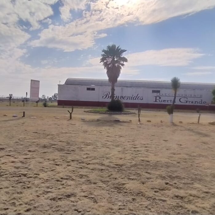 WhatsApp Image 2023-05-15 at 3.26.04 PM (4)