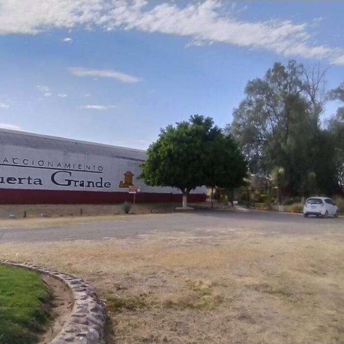 WhatsApp Image 2023-05-15 at 3.26.04 PM (6)