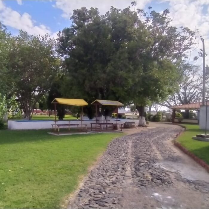 WhatsApp Image 2023-05-15 at 3.26.04 PM