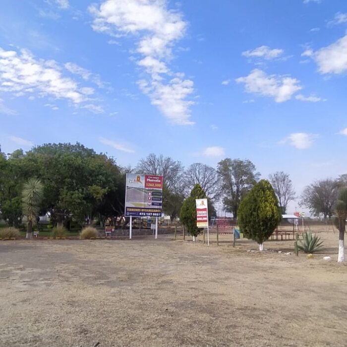 WhatsApp Image 2023-05-15 at 3.26.05 PM