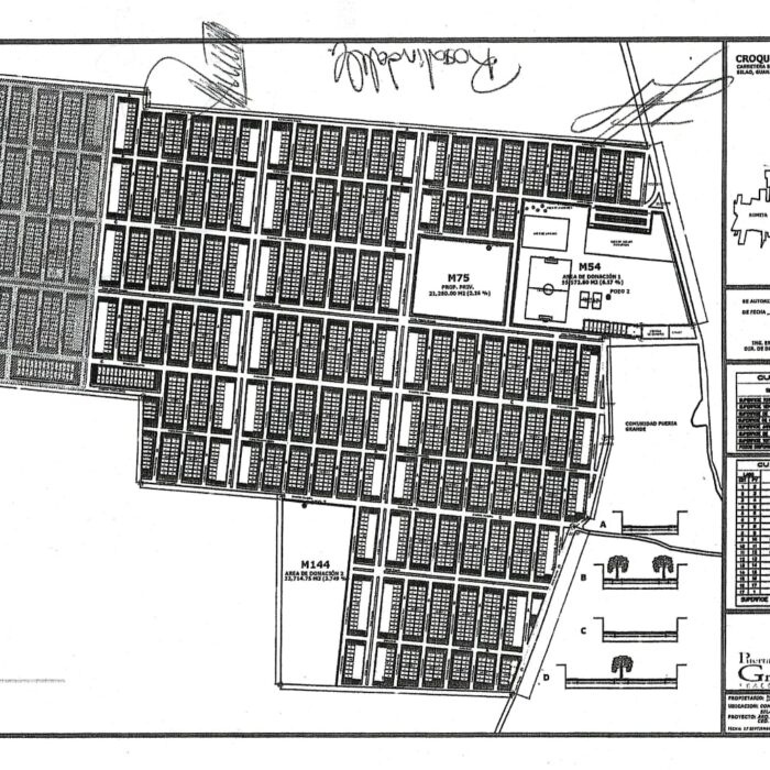 WhatsApp Image 2023-05-16 at 11.45.22 AM