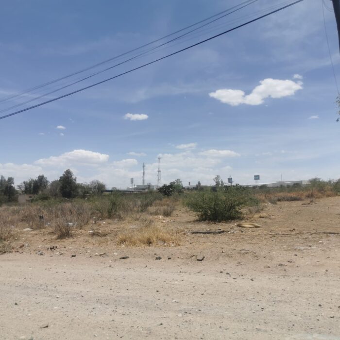 WhatsApp Image 2024-06-19 at 4.50.13 PM (1)