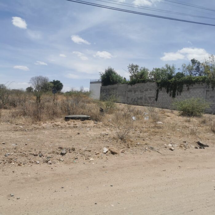 WhatsApp Image 2024-06-19 at 4.50.13 PM