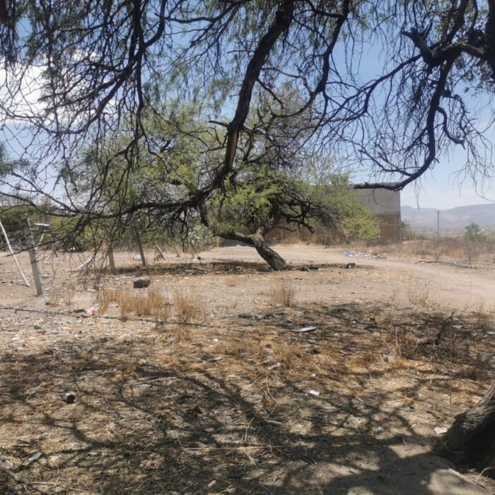 WhatsApp Image 2024-06-19 at 4.51.07 PM