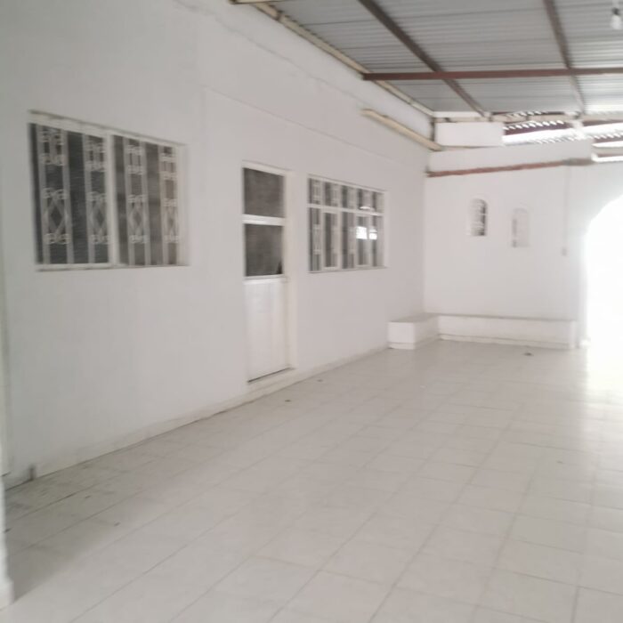 IMG-20241119-WA0066