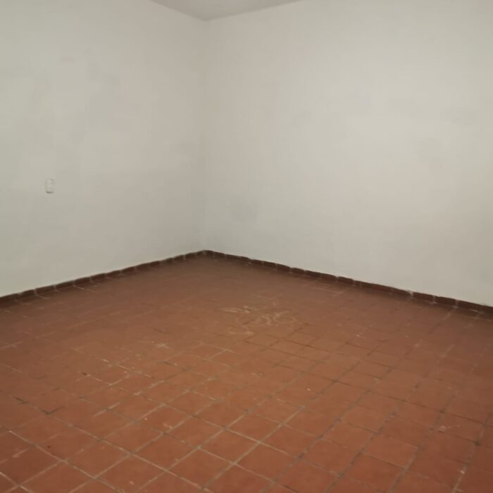 IMG-20241119-WA0067