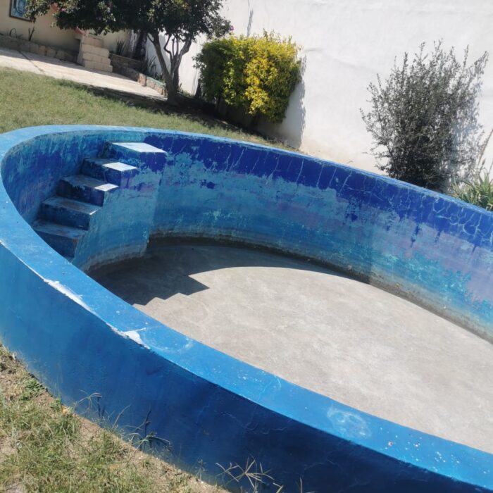 IMG-20241119-WA0081
