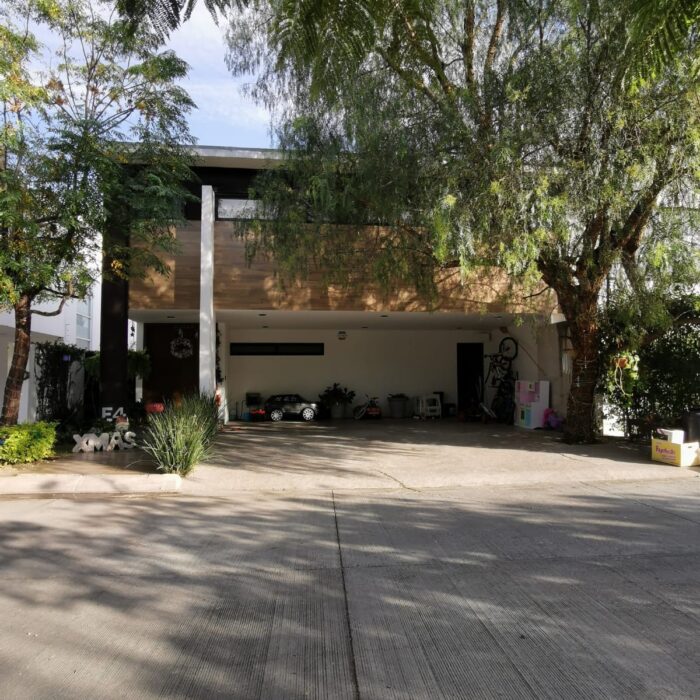 WhatsApp Image 2024-12-11 at 9.37.34 PM