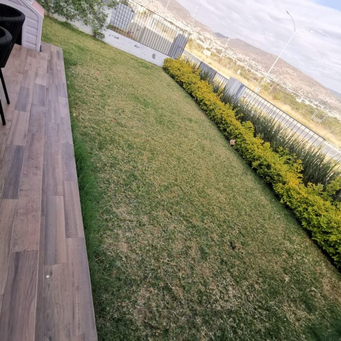 WhatsApp Image 2024-12-11 at 9.37.36 PM (3)