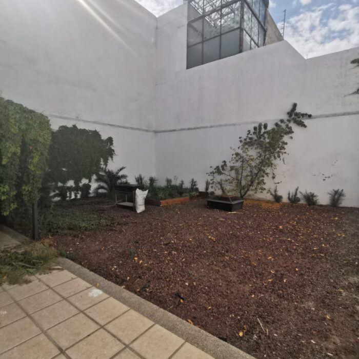 WhatsApp Image 2024-12-20 at 12.19.36 PM (1)