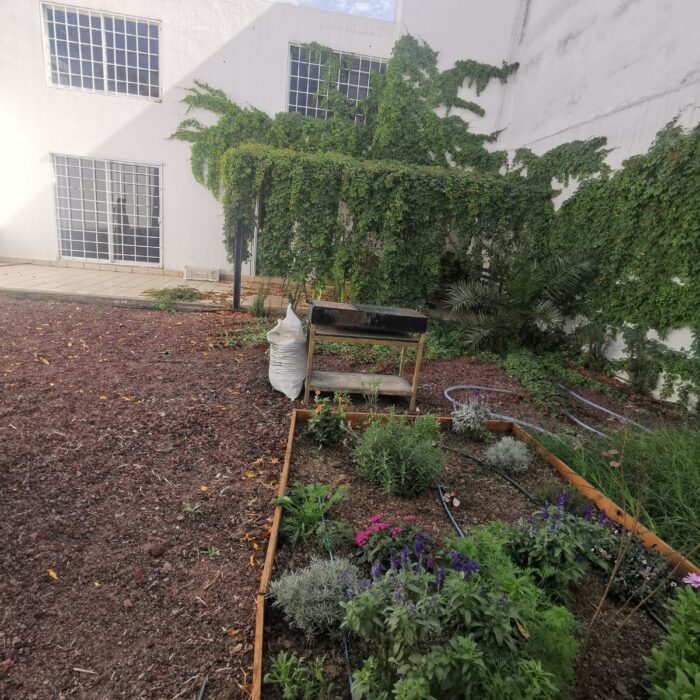 WhatsApp Image 2024-12-20 at 12.19.37 PM (2)