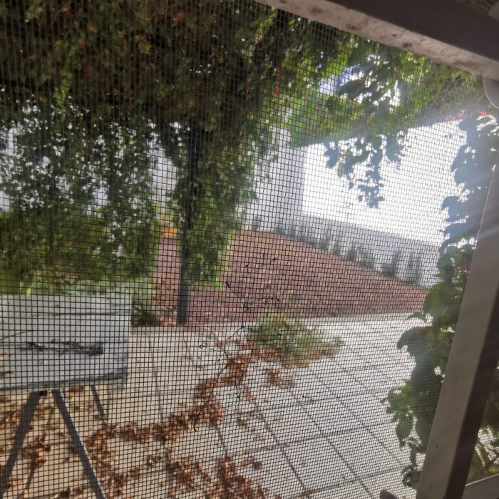 WhatsApp Image 2024-12-20 at 12.19.37 PM (3)