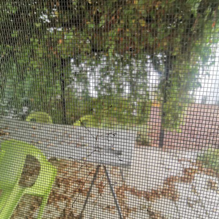 WhatsApp Image 2024-12-20 at 12.19.38 PM (3)