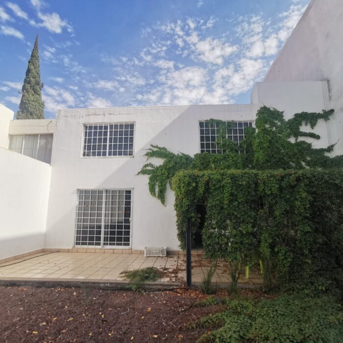 WhatsApp Image 2024-12-20 at 12.19.38 PM (4)